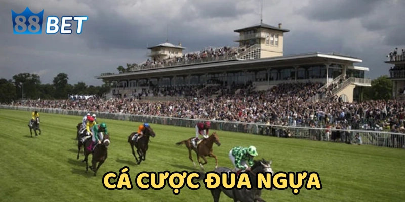 Giải thích cá cược đua ngựa