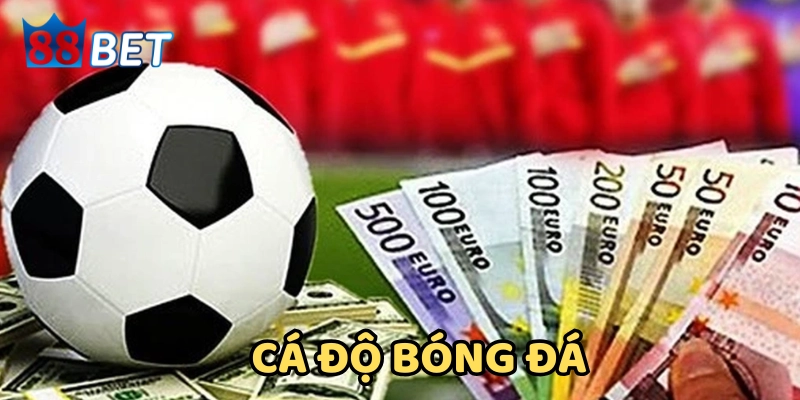 Giải thích cá độ bóng đá